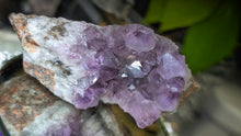 Load image into Gallery viewer, 3" Thunder Bay Amethyst Crystal Cluster
