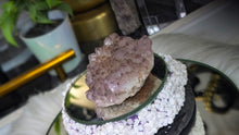 Load image into Gallery viewer, 2.5" Thunder Bay Amethyst Crystal Cluster
