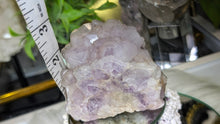 Load image into Gallery viewer, 3" Thunder Bay Amethyst Crystal Cluster
