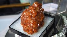 Load image into Gallery viewer, 2" Rare Fujian Province of China Garnet Crystal in Display Case

