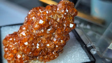 Load image into Gallery viewer, 2" Rare Fujian Province of China Garnet Crystal in Display Case
