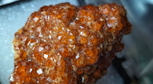 Load image into Gallery viewer, 2" Rare Fujian Province of China Garnet Crystal in Display Case
