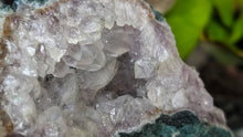 Load image into Gallery viewer, 4.5" Amethyst Quartz Crystal Cluster

