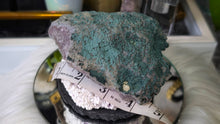 Load image into Gallery viewer, 4.5" Amethyst Quartz Crystal Cluster
