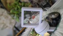 Load image into Gallery viewer, Lodolite Garden Quartz Crystals in Display Case
