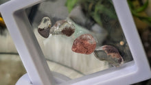 Load image into Gallery viewer, Lodolite Garden Quartz Crystals in Display Case
