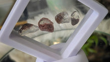 Load image into Gallery viewer, Lodolite Garden Quartz Crystals in Display Case
