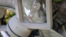 Load image into Gallery viewer, Tibetan Quartz Scepter Crystal in Display Case
