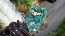 Load image into Gallery viewer, 3" Velvet Malachite Mineral Specimen on Stand
