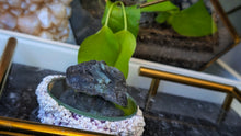 Load image into Gallery viewer, 2" Polished Emerald in Rough Mica Matrix
