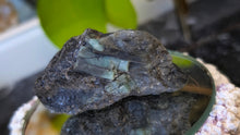 Load image into Gallery viewer, 2" Polished Emerald in Rough Mica Matrix
