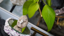 Load image into Gallery viewer, 2" Lodolite Phantom Quartz Crystal

