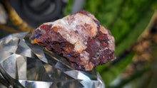 Load image into Gallery viewer, 2" Moroccan Azurite &amp; Malachite Crystal Cluster

