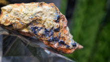 Load image into Gallery viewer, 2" Moroccan Azurite Crystal Cluster
