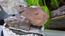 Load image into Gallery viewer, Thunder Bay Druzy Amethyst Crystal Clusters 2pcs
