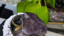 Load image into Gallery viewer, 2.5" Thunder Bay Amethyst Crystal Point
