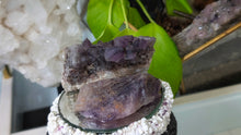 Load image into Gallery viewer, Thunder Bay Smokey Amethyst Crystal Clusters 2pcs
