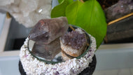 Thunder Bay Smokey Amethyst Crystal Clusters 2pcs