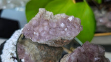Load image into Gallery viewer, Thunder Bay Lavender Smokey Amethyst Crystal Clusters 2pcs
