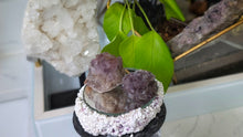 Load image into Gallery viewer, Thunder Bay Smokey Amethyst Crystal Clusters 2pcs
