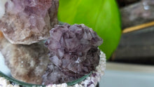 Load image into Gallery viewer, Thunder Bay Smokey Amethyst Crystal Clusters 2pcs
