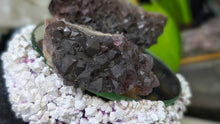 Load image into Gallery viewer, Thunder Bay Smokey Amethyst Crystal Clusters 2pcs
