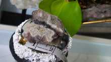 Load image into Gallery viewer, Thunder Bay Smokey Amethyst Crystal Clusters 2pcs
