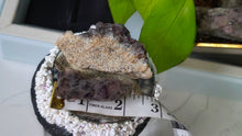 Load image into Gallery viewer, Thunder Bay Smokey Amethyst Crystal Clusters 2pcs
