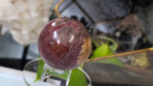 Load image into Gallery viewer, 2" Petrified Wood Fossil Sphere with Glass Stand (chipped corner)
