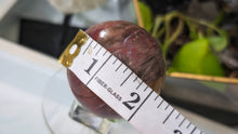 Load image into Gallery viewer, 2" Petrified Wood Fossil Sphere with Glass Stand (chipped corner)
