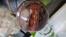 Load image into Gallery viewer, 3" Petrified Wood Fossil Sphere with Glass Stand
