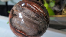 Load image into Gallery viewer, 3" Petrified Wood Fossil Sphere with Glass Stand
