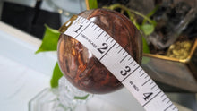 Load image into Gallery viewer, 3" Petrified Wood Fossil Sphere with Glass Stand
