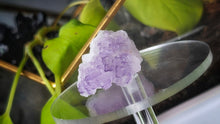 Load image into Gallery viewer, 1" Cubic Purple Fluorite Crystal Cluster
