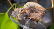 Load image into Gallery viewer, 3" Rare Botryoidal Laguna Fire Agate Crystal
