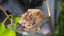 Load image into Gallery viewer, 3" Rare Botryoidal Laguna Fire Agate Crystal
