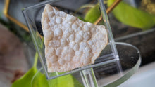 Load image into Gallery viewer, 2" Rare Psilonmelane Agate Crystal Cluster
