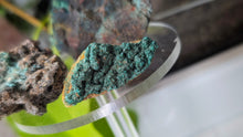 Load image into Gallery viewer, Azurite &amp; Malachite Crystal Clusters 3pcs
