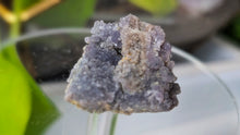 Load image into Gallery viewer, 1" Grape Agate Crystal Cluster
