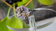 Load image into Gallery viewer, 1" Grape Agate Crystal Cluster
