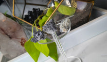 Load image into Gallery viewer, Bulgarian Quartz Galena Pyrite Crystal Clusters 3pcs
