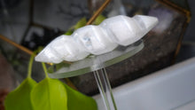 Load image into Gallery viewer, 4" Selenite Crystal Spiral Massage Wand
