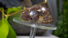 Load image into Gallery viewer, 2" Rare Botryoidal Lepidolite Crystal

