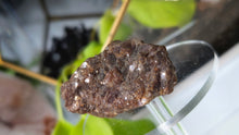 Load image into Gallery viewer, 2" Rare Botryoidal Lepidolite Crystal
