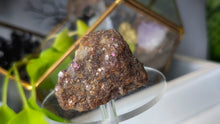 Load image into Gallery viewer, 2" Rare Botryoidal Lepidolite Crystal
