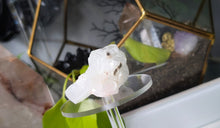 Load image into Gallery viewer, 2" Apophyllite Quartz Crystal Cluster
