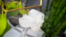 Load image into Gallery viewer, 2" Apophyllite Quartz Crystal Cluster
