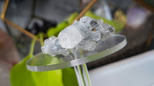 Load image into Gallery viewer, 2" Diamond Apophyllite Quartz Crystal Cluster
