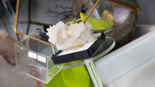 Load image into Gallery viewer, 2" Diamond Hill Apophyllite Cluster in Display Case
