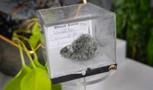 Load image into Gallery viewer, 1.5" Uralite Mineral Specimen in Display Case

